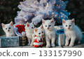 Christmas and kitten 133157990