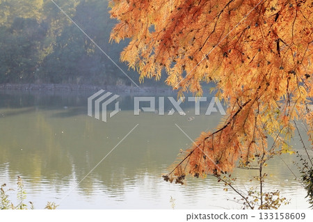日本的秋天跡象 日本的秋天跡象 133158609