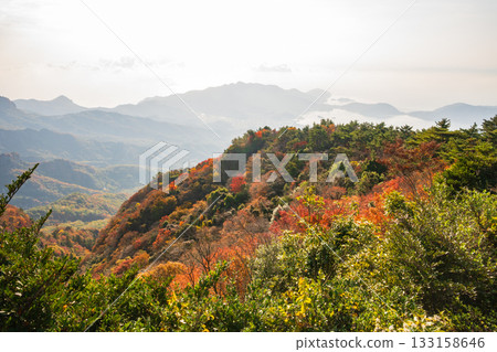 日本瀨戶內海美麗的秋景 133158646
