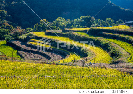 Beautiful autumn scenery in the Seto Inland Sea of Japan Beautiful autumn scenery in the Seto Inland Sea of Japan 133158683