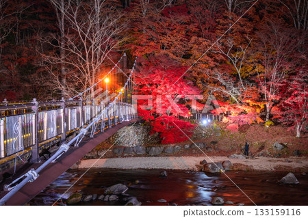 Scarlet suspension bridge Scarlet suspension bridge 133159116