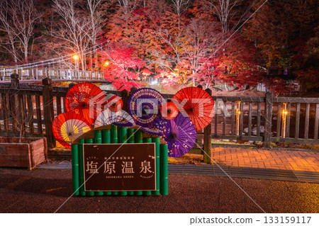 Scarlet suspension bridge Scarlet suspension bridge 133159117