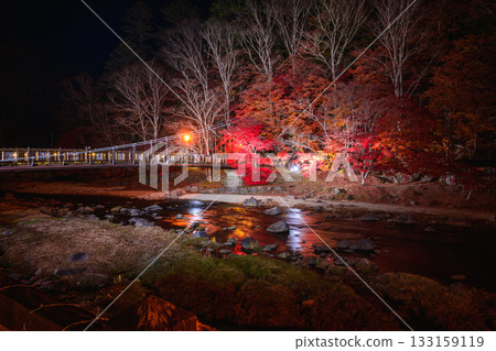 Scarlet suspension bridge Scarlet suspension bridge 133159119