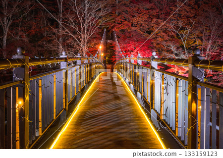Scarlet suspension bridge 133159123