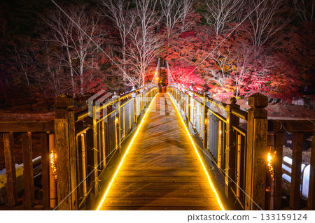 猩紅色吊橋 猩紅色吊橋 133159124