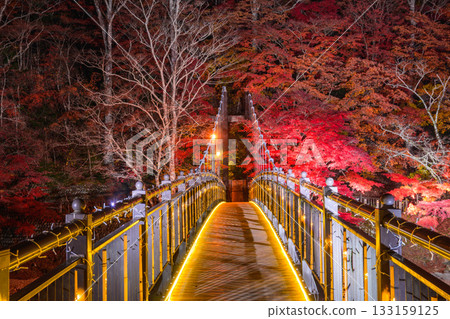 猩紅色吊橋 猩紅色吊橋 133159125