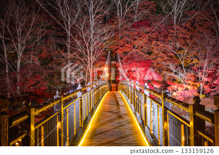 猩紅色吊橋 猩紅色吊橋 133159126