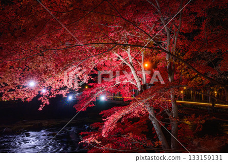 猩紅色吊橋 133159131