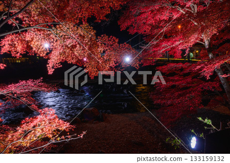 猩紅色吊橋 133159132