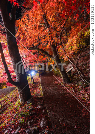 猩紅色吊橋 133159133