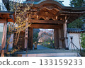 Weeping cherry blossoms at Josenji Temple in Miyazaki Prefecture 133159233