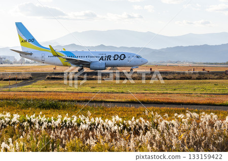 Sendai Airport at dusk, plane taxiing, Natori City, Miyagi Prefecture 133159422