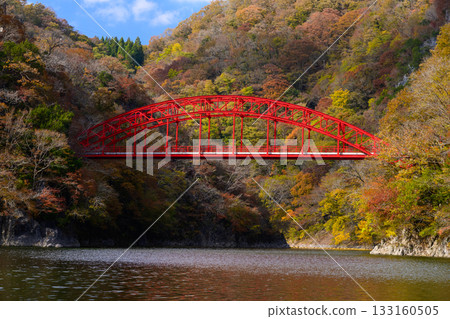 Lake Shinryu and the red Sakura Bridge in Taishakukyo Gorge, dyed in autumn leaves 133160505