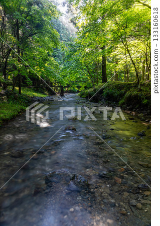 靜岡縣守知郡森町一宮市 奧國神社及其轄區 133160618