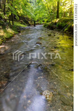 Ichinomiya, Mori-machi, Shuchi-gun, Shizuoka Prefecture Okuni Shrine and its precincts 133160622