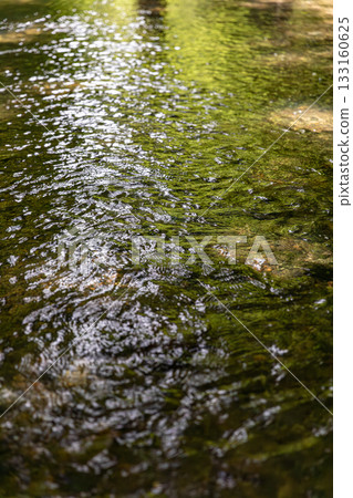 Ichinomiya, Mori-machi, Shuchi-gun, Shizuoka Prefecture Okuni Shrine and its precincts Ichinomiya, Mori-machi, Shuchi-gun, Shizuoka Prefecture Okuni Shrine and its precincts 133160625