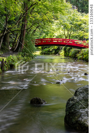 Ichinomiya, Mori-machi, Shuchi-gun, Shizuoka Prefecture Okuni Shrine and its precincts 133160648