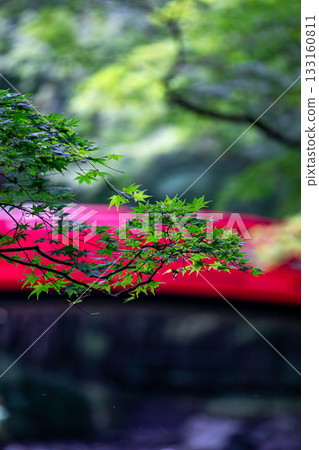 靜岡縣守知郡森町一宮市 奧國神社及其轄區 靜岡縣守知郡森町一宮市 奧國神社及其轄區 133160811