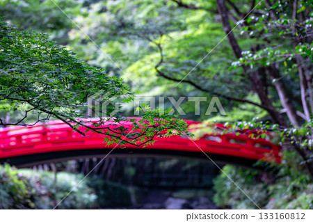 靜岡縣守知郡森町一宮市 奧國神社及其轄區 靜岡縣守知郡森町一宮市 奧國神社及其轄區 133160812