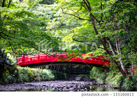 靜岡縣守知郡森町一宮市 奧國神社及其轄區 靜岡縣守知郡森町一宮市 奧國神社及其轄區 133160813