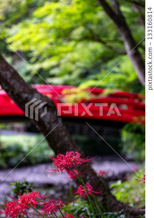 靜岡縣守知郡森町一宮市 奧國神社及其轄區 靜岡縣守知郡森町一宮市 奧國神社及其轄區 133160814
