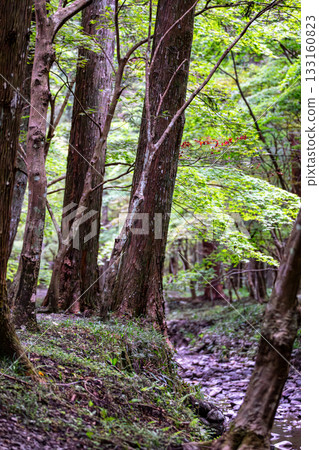 靜岡縣守知郡森町一宮市 奧國神社及其轄區 靜岡縣守知郡森町一宮市 奧國神社及其轄區 133160823