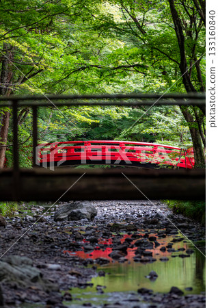 靜岡縣守知郡森町一宮市 奧國神社及其轄區 靜岡縣守知郡森町一宮市 奧國神社及其轄區 133160840