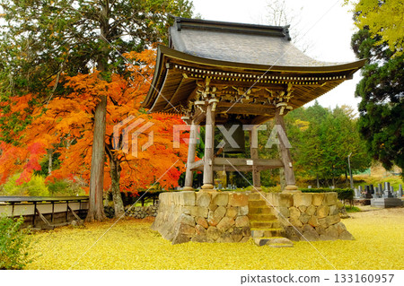 The ginkgo-covered grounds and bell tower of Okanji Temple The ginkgo-covered grounds and bell tower of Okanji Temple 133160957