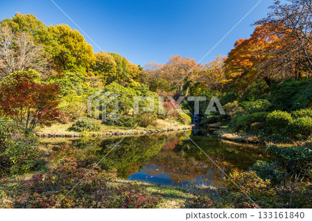群馬縣赤城自然公園杜鵑花園池塘的秋景 群馬縣赤城自然公園杜鵑花園池塘的秋景 133161840