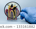 Tooth Decay Model Examined with Magnifying Glass and Gloved Hand 133161882