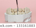 Dental Crown Preparation on Plaster Model with Tool 133161883