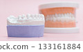 Dental Stone Cast and Full Denture Model on Pink Background 133161884