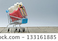 Tooth Anatomy Model in Mini Shopping Cart Concept 133161885