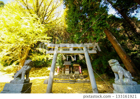 狛犬雕像、鳥居，以及一座背景中長著美麗金黃色銀杏樹的小神社。高田神社，岡山郡真庭市 133161921