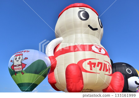 薩迦熱氣球節 133161999