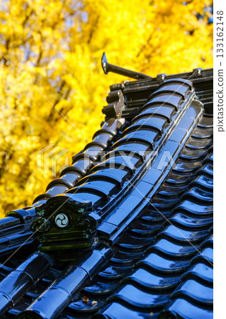 A splendid yellow ginkgo tree towers behind the worship hall at Takada Shrine in Maniwa, Okayama Prefecture 133162148