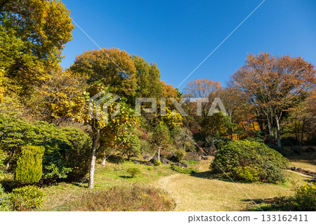 Autumn at Akagi Nature Park, looking up at the observation deck, Gunma Prefecture 133162411