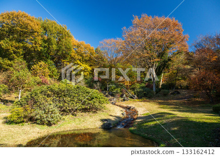 Autumn at Akagi Nature Park, looking up at the observation deck, Gunma Prefecture 133162412