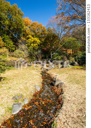 秋日的赤城自然公園，從觀景台上仰望，群馬縣 133162413