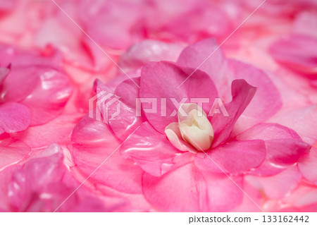 Soft macro background of overlapping pink petals 133162442