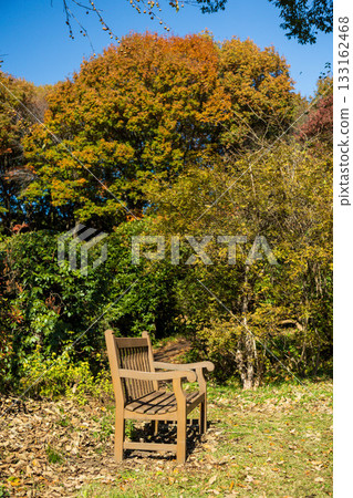 Autumn in Akagi Nature Park, walking path bench, Gunma Prefecture Autumn in Akagi Nature Park, walking path bench, Gunma Prefecture 133162468
