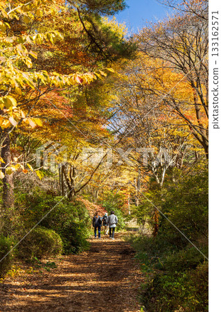 Autumn scenery of Akagi Nature Park walking trails, Gunma Prefecture 133162571