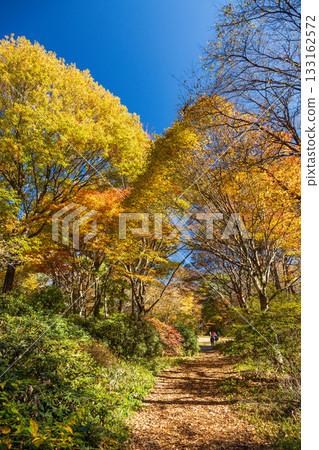 群馬縣赤城自然公園步道的秋景 133162572