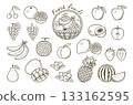 Fruit line drawing illustration icon set 133162595