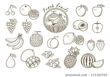 Fruit line drawing illustration icon set 133162595