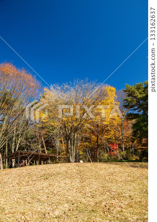 Autumn at Akagi Nature Park, Shibafu Square, Gunma Prefecture 133162637