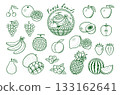 Fruit line drawing illustration icon set 133162641