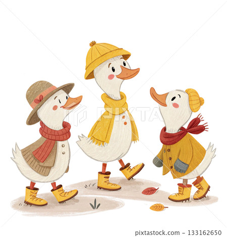 Three cute ducks in autumn outfits white background  133162650