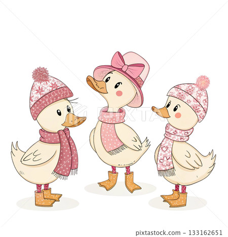 Three cute ducks in autumn outfits white background  133162651