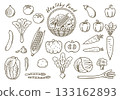 Vegetable line drawing illustration icon set vector 133162893